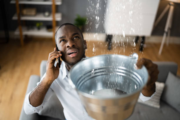 Best Carpet water damage restoration  in Whitewater, KS