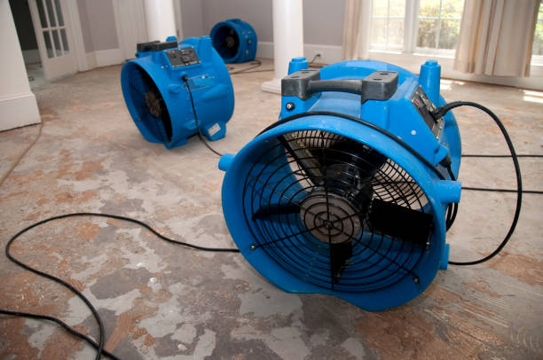 Best Water damage restoration near me  in Whitewater, KS