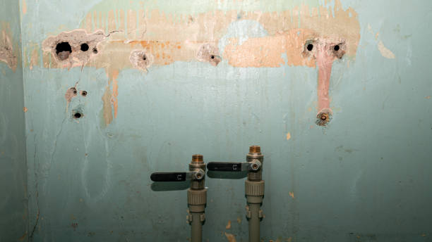 Best Ceiling water damage repair  in Whitewater, KS