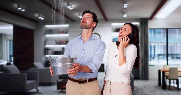Best Professional water damage repair  in Whitewater, KS