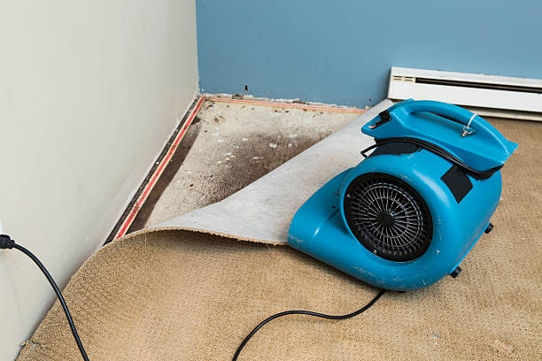 Best Flood restoration services  in Whitewater, KS